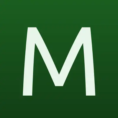 Магазин сумок, ИП Штаер С.В., лого-визитка